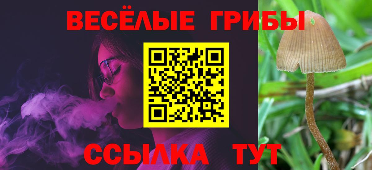 Галлюциногенные грибы Psilocybine cubensis  Вход с VPN  Каспийск  Галлюциногенные грибы MAGIC MUSHROOMS 